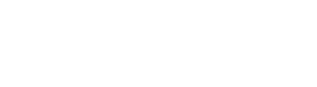SOYLU TR Servis ve Otomotiv